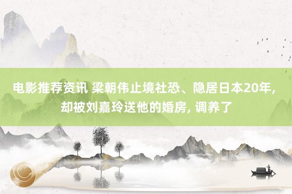 电影推荐资讯 梁朝伟止境社恐、隐居日本20年, 却被刘嘉玲送他的婚房, 调养了