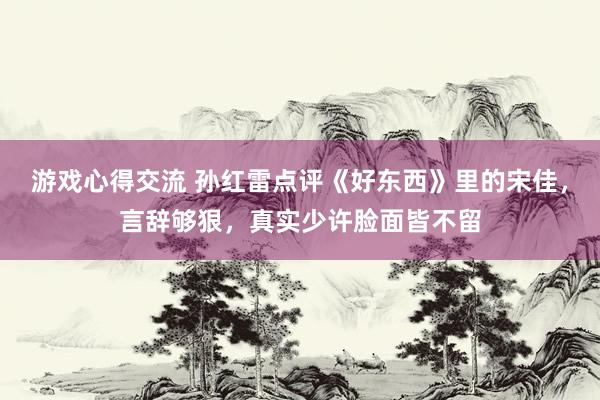 游戏心得交流 孙红雷点评《好东西》里的宋佳，言辞够狠，真实少许脸面皆不留