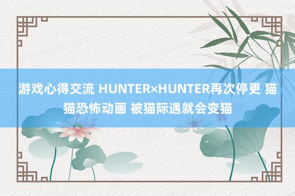 游戏心得交流 HUNTER×HUNTER再次停更 猫猫恐怖动画 被猫际遇就会变猫