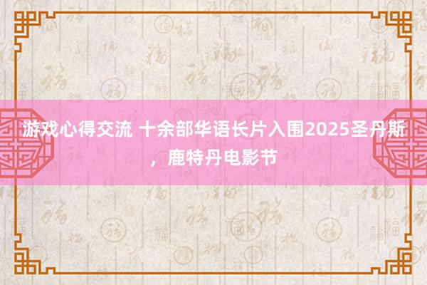 游戏心得交流 十余部华语长片入围2025圣丹斯，鹿特丹电影节