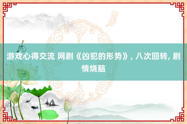 游戏心得交流 网剧《凶犯的形势》, 八次回转, 剧情烧脑