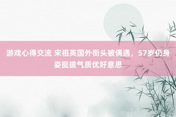 游戏心得交流 宋祖英国外街头被偶遇，57岁仍身姿挺拔气质优好意思