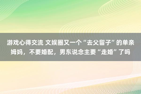 游戏心得交流 文娱圈又一个“去父留子”的单亲姆妈，不要婚配，男东说念主要“走婚”了吗